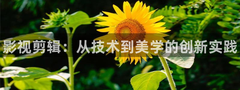 老濕影院x看一分鐘